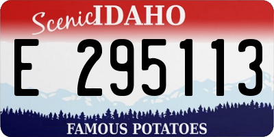 ID license plate E295113