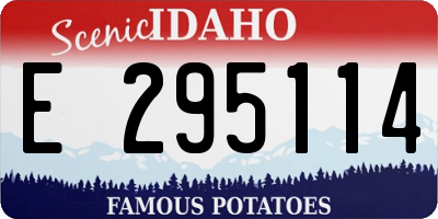 ID license plate E295114