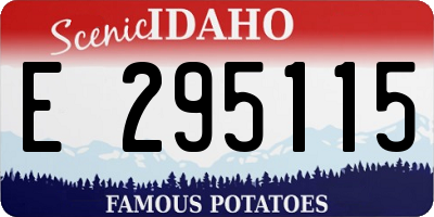 ID license plate E295115