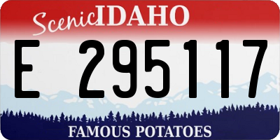 ID license plate E295117