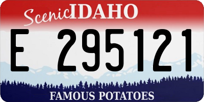 ID license plate E295121