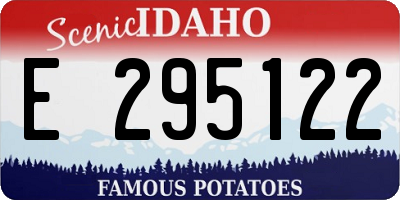 ID license plate E295122