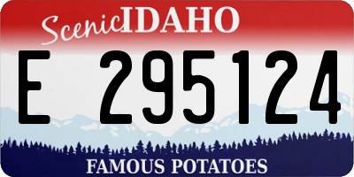 ID license plate E295124