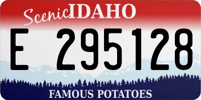 ID license plate E295128