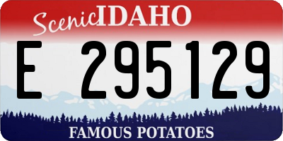ID license plate E295129