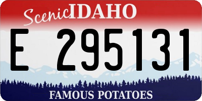 ID license plate E295131