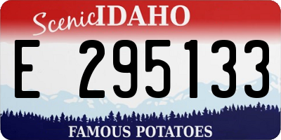 ID license plate E295133