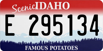 ID license plate E295134