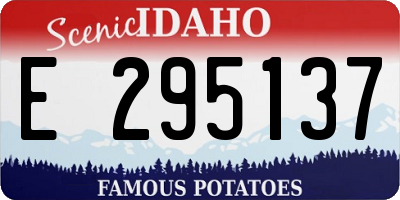 ID license plate E295137