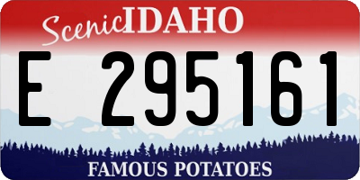 ID license plate E295161