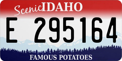 ID license plate E295164