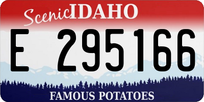ID license plate E295166