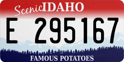 ID license plate E295167