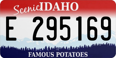 ID license plate E295169