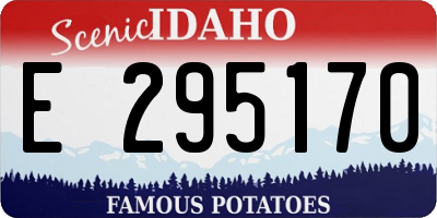 ID license plate E295170