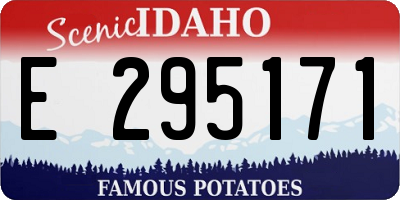 ID license plate E295171