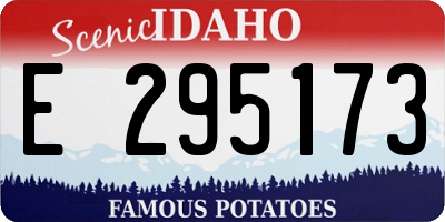 ID license plate E295173