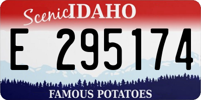 ID license plate E295174