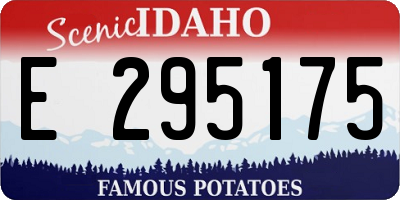 ID license plate E295175