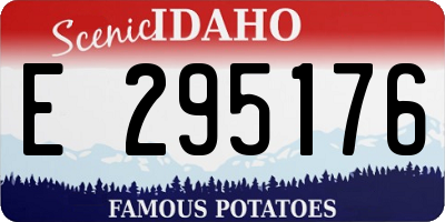 ID license plate E295176