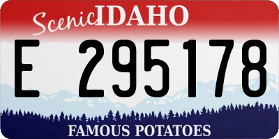 ID license plate E295178