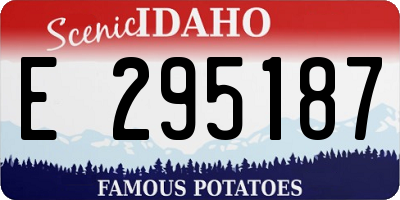 ID license plate E295187