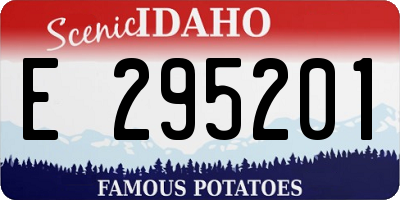 ID license plate E295201