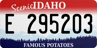 ID license plate E295203