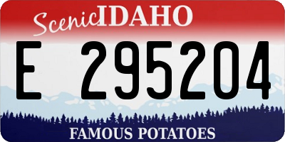 ID license plate E295204