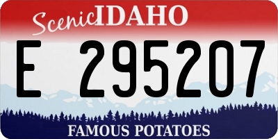 ID license plate E295207