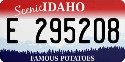 ID license plate E295208