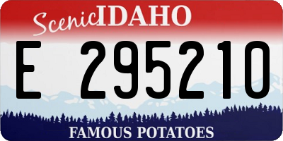 ID license plate E295210