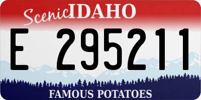 ID license plate E295211