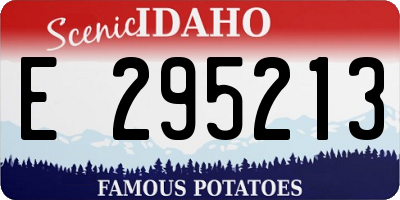ID license plate E295213