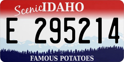 ID license plate E295214