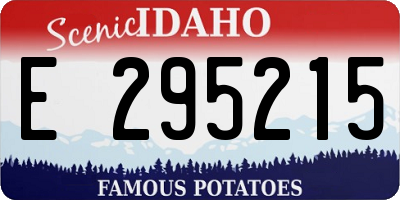 ID license plate E295215