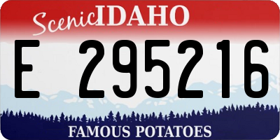 ID license plate E295216
