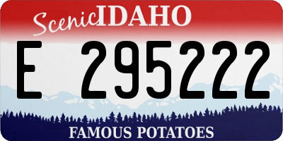 ID license plate E295222