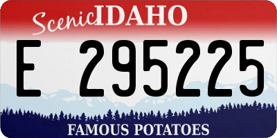 ID license plate E295225