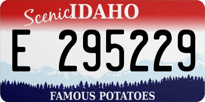 ID license plate E295229