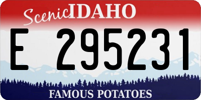ID license plate E295231