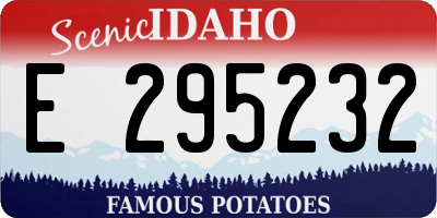 ID license plate E295232