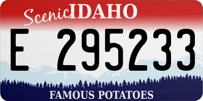 ID license plate E295233