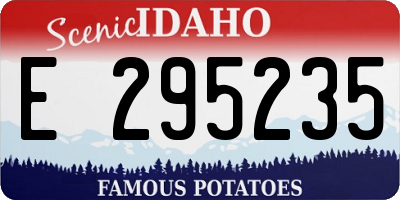 ID license plate E295235