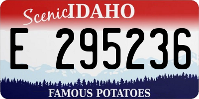 ID license plate E295236