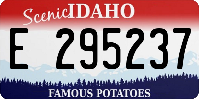 ID license plate E295237