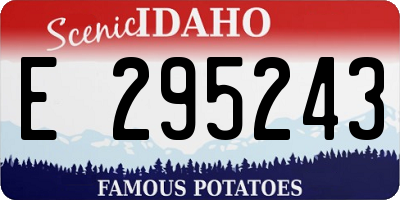 ID license plate E295243