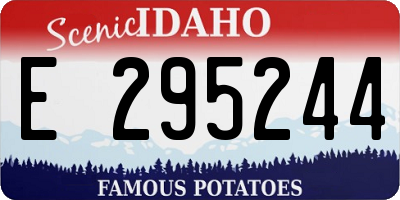 ID license plate E295244