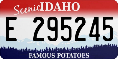 ID license plate E295245