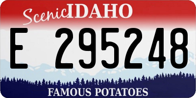 ID license plate E295248